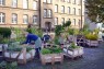 Frau beim "Urban gardening"