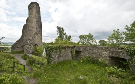 Auf dem Bild sieht man eine Ruine in der Rheinischen Kulturlandschaft.