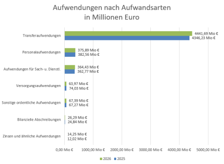 Aufwendungen nach Aufwandsarten