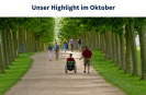 Man sieht Menschen von hinten, die durch eine Platanenallee spazieren.