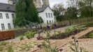 Man sieht einen Garten mit Kieswegen, und Pflanzen mit violetten Blüten. Im Hintergrund steht ein Holzzaun.