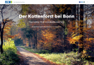 Ein Foto vom Kottenforst mit Überschrift der StoryMap: Der Kottenforst bei Bonn. Vom wilden Wald zum gezähmten Forst. Von Katrin Becker und Bruno P. Kremer. 10. August 2020