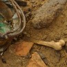 Foto zeigt Fundstücke von archäologischen Grabungsarbeiten