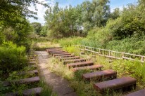 Ehemalige Panzerwaschanlage in der Wahner Heide. Foto: Nico Wagner / Kulturlandschaftspflege